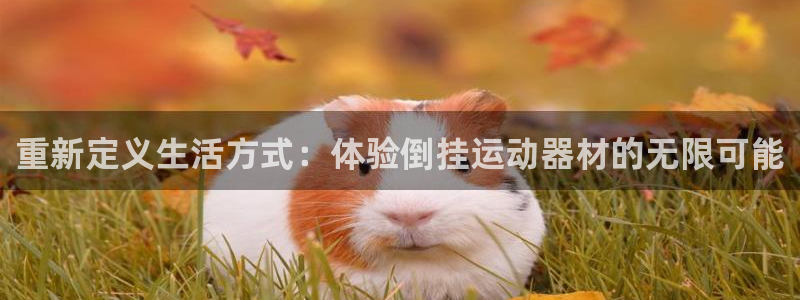 xk星空体育官网下载招商电话：重新定义生活方式：体验