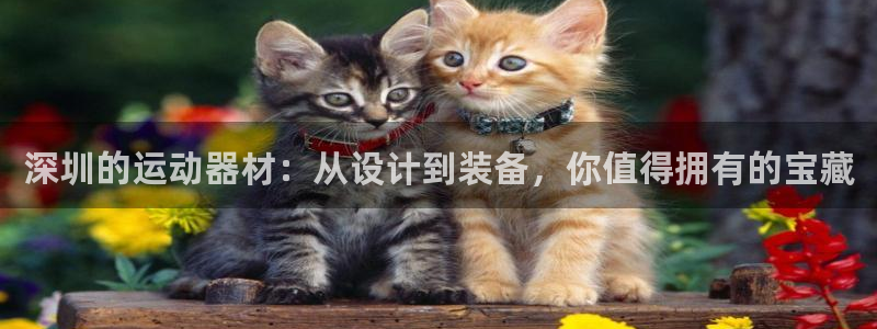 xk星空体育官网下载官方客服电话：深圳的运动器材：从