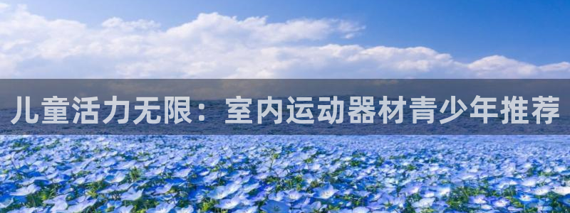 xk星空体育官网下载官方客服电话：儿童活力无限：室内运动器材