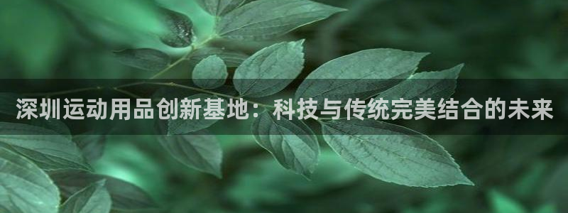 xk星空体育官方正版app娱乐下载：深圳运动用品创新基地：科