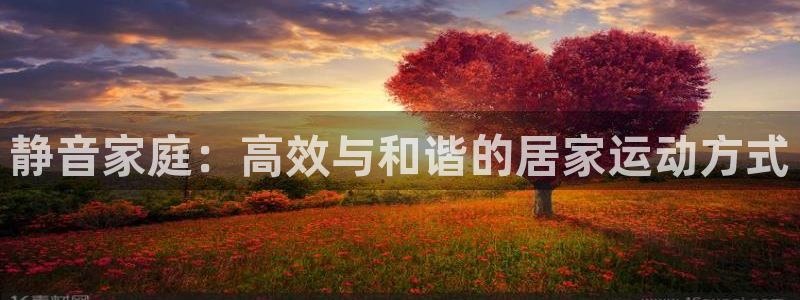 xk星空体育官网下载平台注册要钱吗安全吗：静音家庭：
