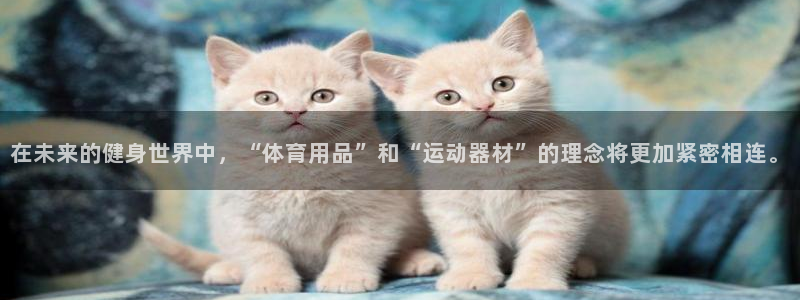 xk星空体育官网下载平台是正规平台吗：在未来的健身世