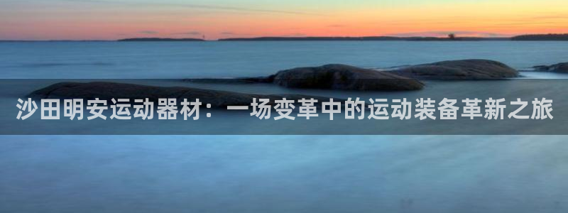 xk星空体育官方正版app新能源：沙田明安运动器材：一场变革